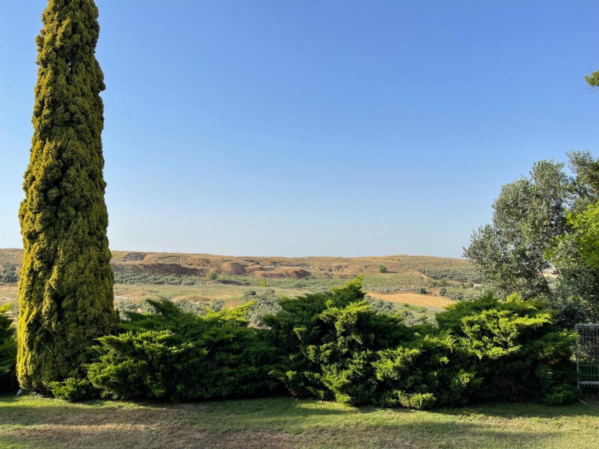 Villa Ba'Gefen Karmei Yosef Экстерьер фото