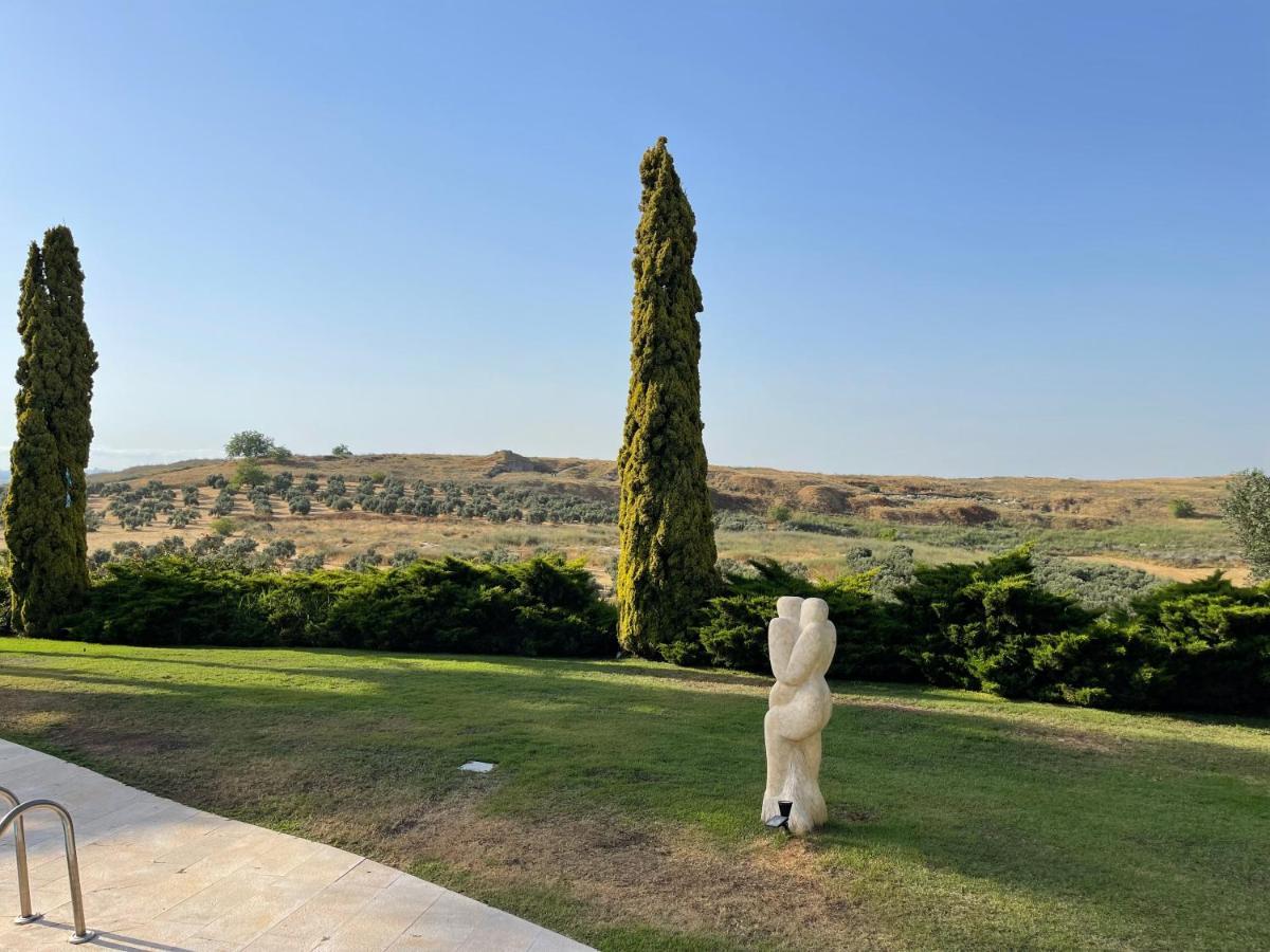 Villa Ba'Gefen Karmei Yosef Экстерьер фото
